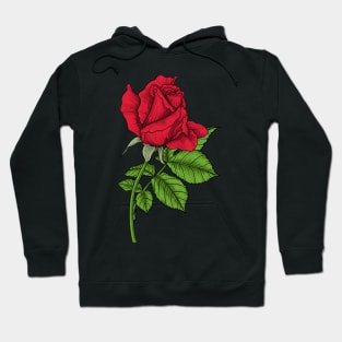 Red rose Hoodie